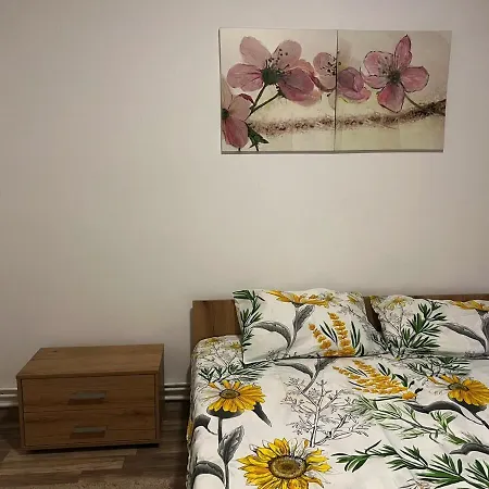 Apartment Romanescu Park