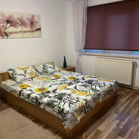 Apartment Romanescu Park Craiova